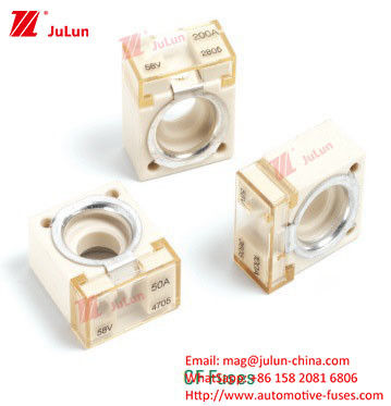 নিরাপত্তা ভোল্টেজ সহ জলরোধী বৈদ্যুতিক গাড়ির ফিউজ