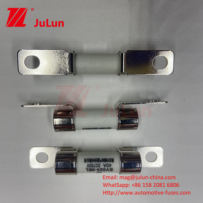 DC750V 10A-100A বক্সযুক্ত ইভি ফিউজ ইলেকট্রিক যানবাহন ট্রাকশন সিস্টেমের জন্য শক্তি সঞ্চয় 25A 30A 50A ইভি ফিউজ