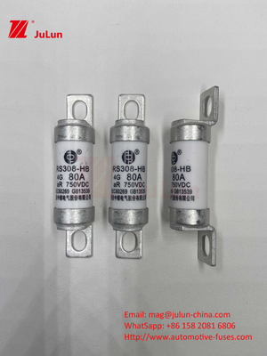 ইভি ইলেকট্রিক যানবাহন ফিউজ DC750V ফিউজ DC750V 10A 15A 20A 25A 30A অটোমোবাইল অ্যাপ্লিকেশনের জন্য RS308