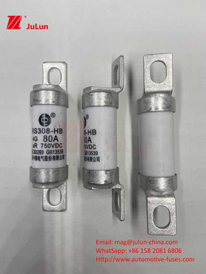 ইভি ইলেকট্রিক যানবাহন ফিউজ DC750V ফিউজ DC750V 10A 15A 20A 25A 30A অটোমোবাইল অ্যাপ্লিকেশনের জন্য RS308