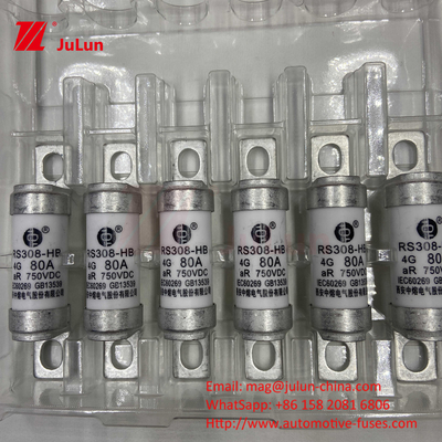 ইভি ইলেকট্রিক যানবাহন ফিউজ DC750V ফিউজ DC750V 10A 15A 20A 25A 30A অটোমোবাইল অ্যাপ্লিকেশনের জন্য RS308
