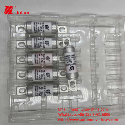 বৈদ্যুতিক যানবাহন ফিউজ RS308 DC750V 10A 15A 20A উত্তম কম্পন প্রতিরোধের সঙ্গে 63A
