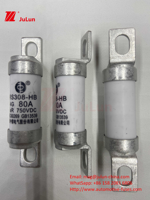 বৈদ্যুতিক যানবাহন ফিউজ RS308 DC750V 10A 15A 20A উত্তম কম্পন প্রতিরোধের সঙ্গে 63A