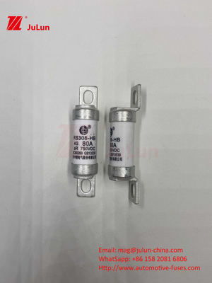 EV RS308 ফিউজ মেকানিক্যাল শক 25A 30A 40A 50A সিরামিক কপার রেট ভোল্টেজ DC750V হোম ইভি চার্জার ইলেকট্রিক গাড়ির জন্য