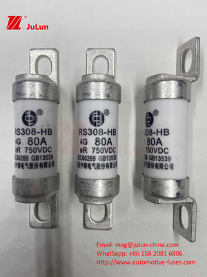 EV RS308 ফিউজ মেকানিক্যাল শক 25A 30A 40A 50A সিরামিক কপার রেট ভোল্টেজ DC750V হোম ইভি চার্জার ইলেকট্রিক গাড়ির জন্য