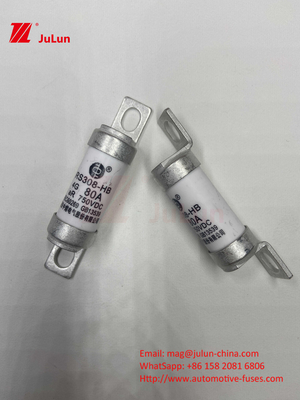 সিরামিক ইভি ফিউজ 750VDC নিরাপদ চার্জিংঅটোমোবাইল অ্যাপ্লিকেশন জন্য 63A25A 15A 30A 750VDC RS308 ফিউজ