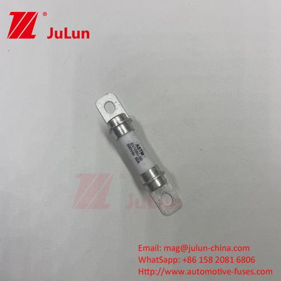 500VDC 20A 30A 40A 50A বিশুদ্ধ বৈদ্যুতিক যানবাহন হাইব্রিড কার ফিউজ