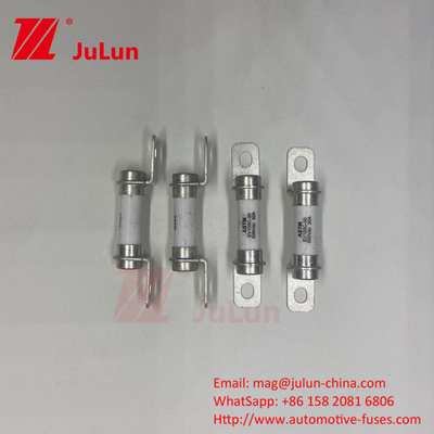 ব্যাটারি এনার্জি স্টোরেজ সিস্টেম 500VDC 30A ফিউজ M6 বোল্ট