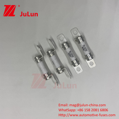 5A 10A 30A 50A 30A 500DV বিশুদ্ধ বৈদ্যুতিক যানবাহন শক্তি সিস্টেম হাইব্রিড যানবাহন ফিউজ