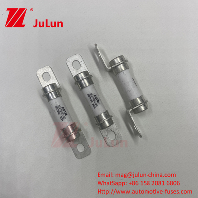 5A 10A 30A 50A 30A 500DV বিশুদ্ধ বৈদ্যুতিক যানবাহন শক্তি সিস্টেম হাইব্রিড যানবাহন ফিউজ