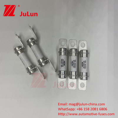 বৈদ্যুতিক গাড়ির ফিউজ 20A500VD