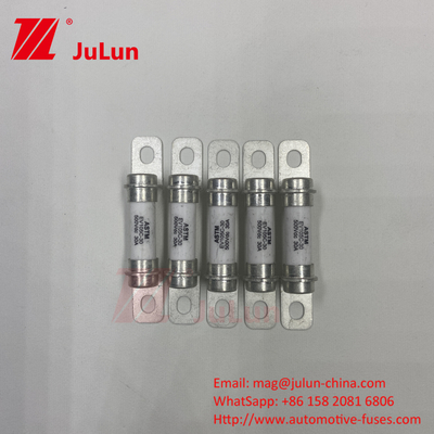 20A 500VDC বৈদ্যুতিক গাড়ির পাওয়ার রূপান্তর সিস্টেম বৈদ্যুতিক গাড়ির পাওয়ার রূপান্তর সিস্টেম দ্রুত ফিউজ 15A 30A 50A