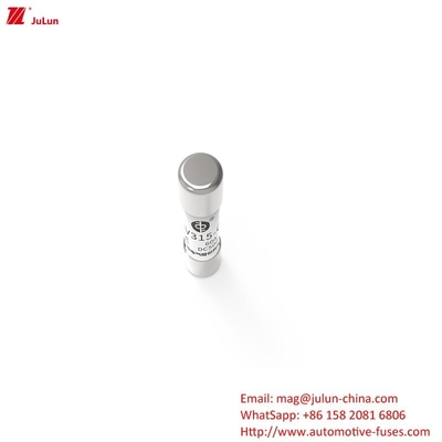 টিউব ফিউজ EV315 500V 60A নিউ এনার্জি পাওয়ার সিরিজ অফ পণ্য