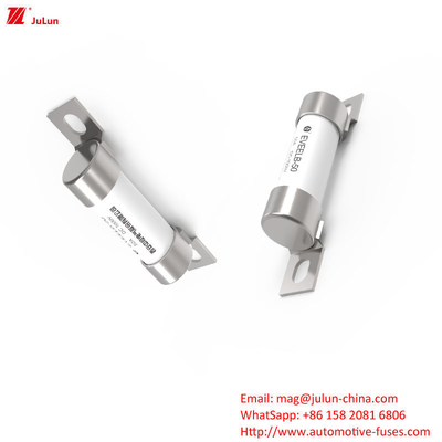 50A 1000V DC উচ্চ ভোল্টেজ বৈদ্যুতিক গাড়ির ব্লেড ফিউজ