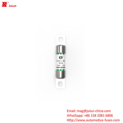 EV321-3EL 30A ইলেকট্রিক গাড়ির ফিউজ OEM লোগো সুরক্ষা এবং বক্সড প্যাকিং পদ্ধতিতে পারফরম্যান্স সহ