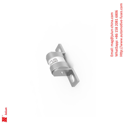 এনার্জি ফিউজ EV323-2GL/ 16A-20A-40A-50A-180A / 250V 30KA বৈদ্যুতিক গাড়ির ফিউজ