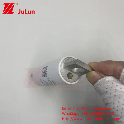 RS309-MM-EV63A গোলাকার টিউব বোল্ট-অন ফিউজ 1000VDC 50KA EV FUSE 1000VDC এর জন্য