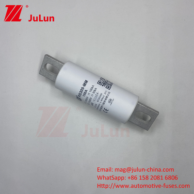 RS309-MM-EV63A গোলাকার টিউব বোল্ট-অন ফিউজ 1000VDC 50KA EV FUSE 1000VDC এর জন্য