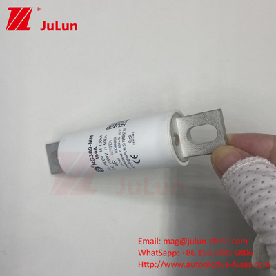 RS309-MM-EV200A বৈদ্যুতিক যানবাহনের জন্য কাস্টমাইজযোগ্য ইভি বোল্ট স্ক্রু ফিউজ 1000VDC 1000VAC