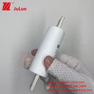 RS309-MM-EV250A 100KA মাঝারি ভোল্টেজ বৈদ্যুতিক যানবাহন দ্রুত চার্জিং / Ev Dc দ্রুত চার্জার