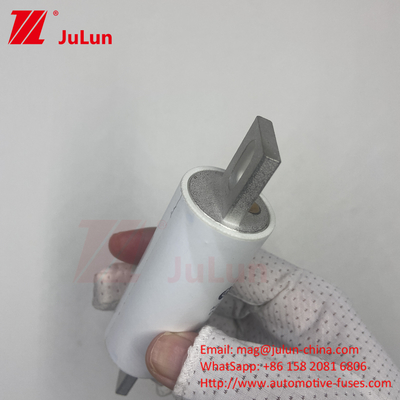 RS309-MM-EV300A উচ্চ ভোল্টেজ বৈদ্যুতিক সিস্টেমগুলিতে মাঝারি ফিউজিং এসি 1000VDC 1000VAC বৈদ্যুতিক যানবাহনের জন্য