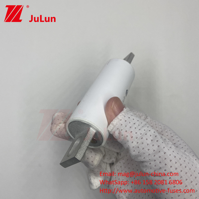 RS309-MM-EV300A উচ্চ ভোল্টেজ বৈদ্যুতিক সিস্টেমগুলিতে মাঝারি ফিউজিং এসি 1000VDC 1000VAC বৈদ্যুতিক যানবাহনের জন্য