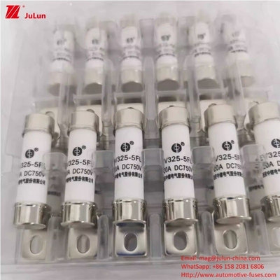 ইলেকট্রিক গাড়ির জন্য 10A-50A ভোল্টেজ ইভি ফিউজ