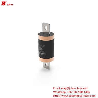 SINOFUSE EV8 বৈদ্যুতিক গাড়ির দ্রুত চার্জিং বক্সযুক্ত 300A মাঝারি বোল্ট স্ক্রু অটোমোটিভ ফিউজ