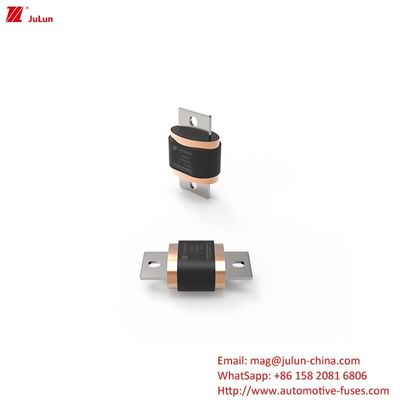 ইভি ফিউজ বৈদ্যুতিক গাড়ির ফিউজ 500A-1000A DC500V
