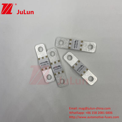 A121601-50A ASTM 125VDC বৈদ্যুতিক যানবাহনের বৈদ্যুতিক সুরক্ষা টার্মিনাল টাইপ ফিউজ