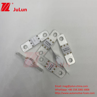 এএসটিএম 300A 125VDC বোল্ট স্ক্রু ফিউজ A121601 বৈদ্যুতিক যানবাহন সুরক্ষার জন্য