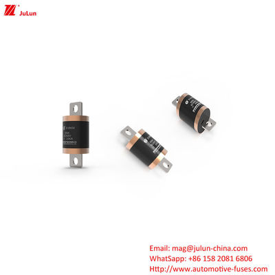 EV8 DC500V 150A 600A 700A 750A 800A 900A 1000A সড়ক যানবাহনের জন্য ফিউজ