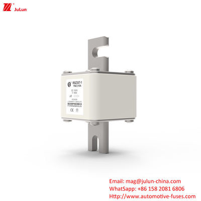 315A DC250V পোর্টেবল ইভি চার্জার ফিউজ ইভি মালিকদের জন্য চূড়ান্ত সমাধান