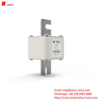 315A DC250V পোর্টেবল ইভি চার্জার ফিউজ ইভি মালিকদের জন্য চূড়ান্ত সমাধান