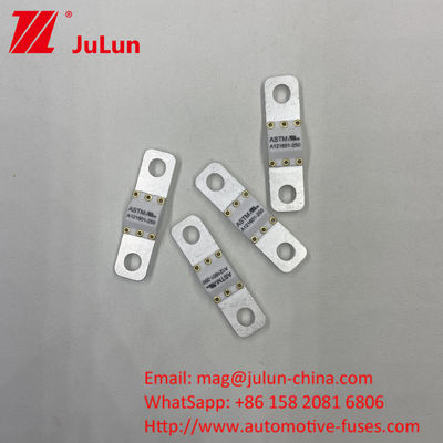 125 ভিডিসি অটোমোটিভ ব্যাটারি চার্জার ফিউজ A121601-300A ব্যাটারি শক্তি সঞ্চয় মোটরসাইকেল