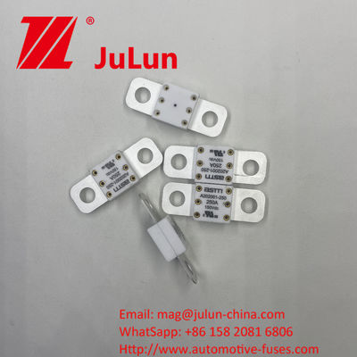 150VDC 500A A202001 এএসটিএম রেটযুক্ত সিরামিক যানবাহন ফিউজ অটোমোটিভ শক্তি সঞ্চয় ব্যাটারি সহ