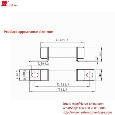 RS309 32A-35A -40A -50A বর্তমান Ev চার্জার অ্যাডাপ্টার 750VDC ভোল্টেজের সাথে সামঞ্জস্যপূর্ণ