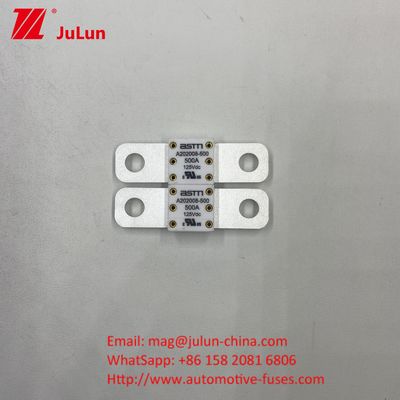 অটোমোটিভ সার্কিট ব্রেকার A202008 100A 100VDC EV FUSE ASTM