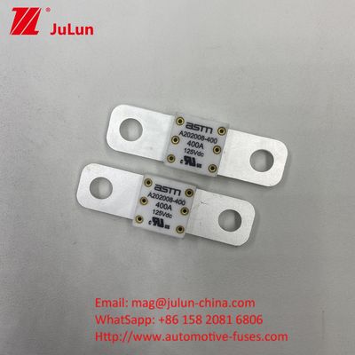 350A 125VDC অটো ব্যাটারি ফিউজ বর্তমান রেটিং 100A 150A 200A 250A 300A 350A 400A 500A
