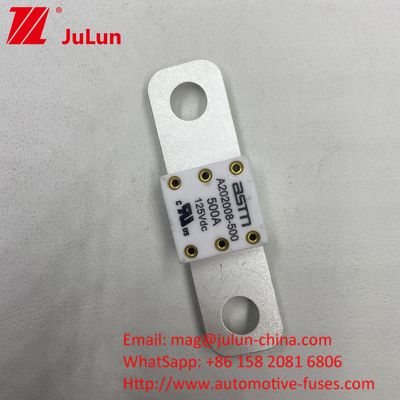 ইউনিভার্সাল সামঞ্জস্যের জন্য 500A 125VDC উচ্চ বর্তমান রেটিং গাড়ি ব্যাটারি ফিউজ