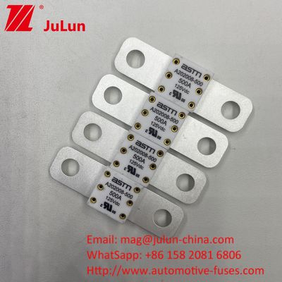 100A 150A 200A 125VDC ব্যাটারি ফিউজ অটোমোবাইল বাজারে