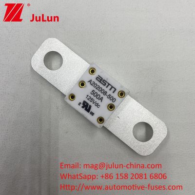 125VDC 200A ANM AMM AEGA ANL CNN CNL অটোমোবাইলের জন্য গাড়ি ব্যাটারি ফিউজ
