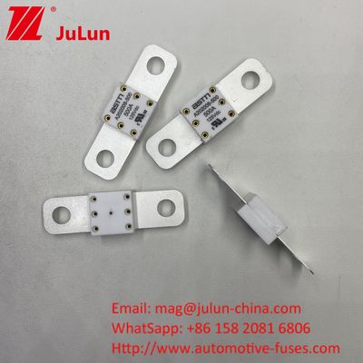 300A 125VDC ছোট আকারের উচ্চ বর্তমান রেটিং ইভি অটোমোটিভ ব্যাটারি ফিউজ শর্ট সার্কিট সুরক্ষার জন্য