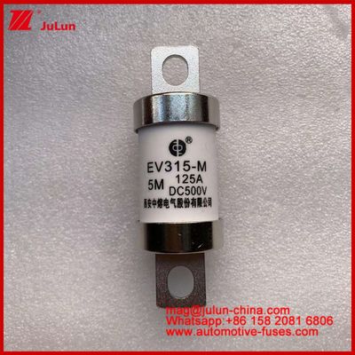 EV315-M 5M 125A HS 500VDC ট্রাক ভারী টিউবুলার বৈদ্যুতিক যানবাহন ফিউজ ধ্রুবক তামা ব্যবহারের সাথে বিভাগ EV