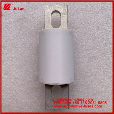 RS309-MD 400A 500VAC 200KA 500VDC 50KA AR টিউবুলার সিরামিক অটোমোটিভ ফিউজ বোল্ট ইনস্টলেশন সেমিকন্ডাক্টর সুরক্ষা