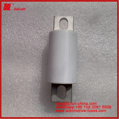 500A 400A RS309-MF EVE 750VDC ((UL) সড়ক যানবাহন নলাকার সিরামিক শক্তি সঞ্চয় শক্তি সিস্টেম চার্জার তারগুলি অটোমোটিভ ডিভাইস এবং সরঞ্জাম 20KA