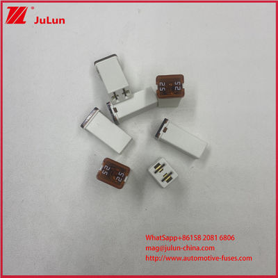 যানবাহন 32VDC সার্কিট ব্রেকার মিনি গাড়ি ফিউজ 25A 32V টার্মিনাল মহিলা স্কয়ার প্লাগ-ইন ফিউজ লিঙ্ক জন্য গাড়ী যানবাহন 0495025.ZXA