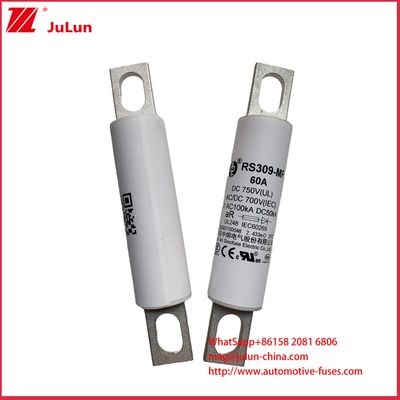 RS309-MF 60A DC750 ভারী ট্রাক চার্জিং পিল বৈদ্যুতিক গাড়ি বৈদ্যুতিক বাস বৈদ্যুতিক হালকা ট্রাক এবং বৈদ্যুতিক ফিউজ