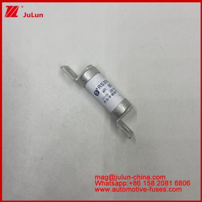RS308-HB 10A 16A 20A 25A 32A 40A 690VAC/550VDC সিরামিক ইনস্টলেশন বোল্ট M6 শক্তি সঞ্চয়স্থানে শর্ট সার্কিটের বিরুদ্ধে সুরক্ষার জন্য গাড়ি ফিউজ উচ্চ বর্তমান রেটিং
