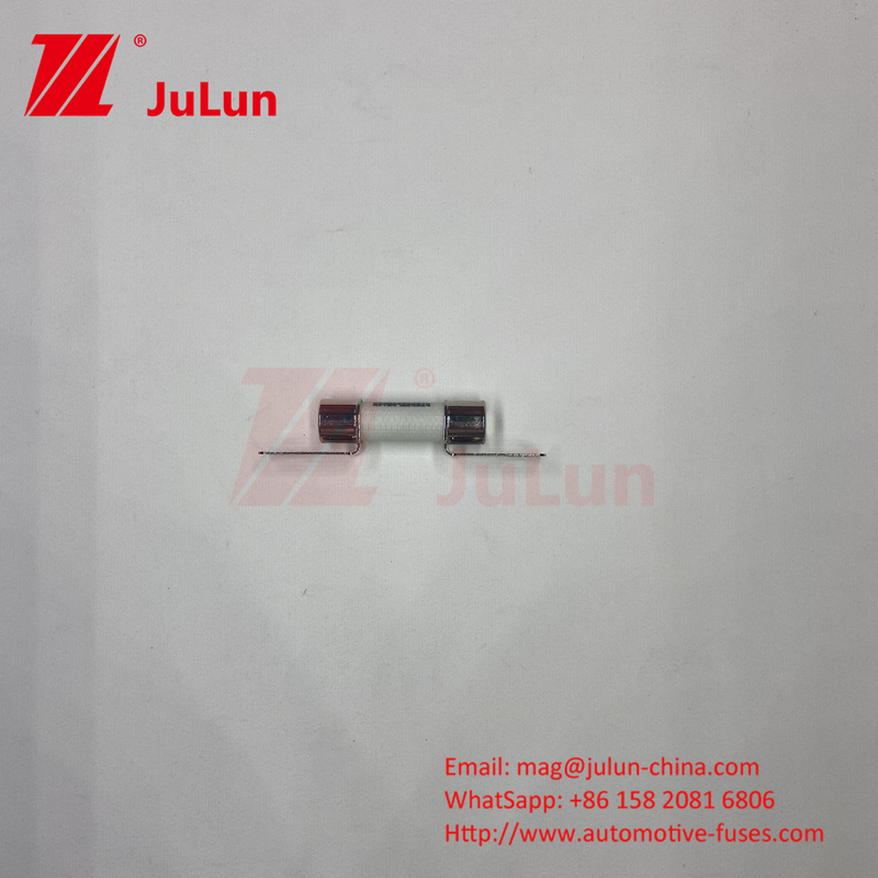 DC750V 10A-100A বক্সযুক্ত ইভি ফিউজ ইলেকট্রিক যানবাহন ট্রাকশন সিস্টেমের জন্য শক্তি সঞ্চয় 25A 30A 50A ইভি ফিউজ